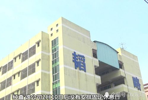 无标题